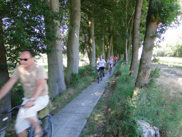 2011HWK 156.jpg